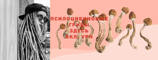 шишки Баксан