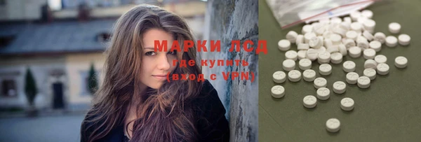 шишки Баксан