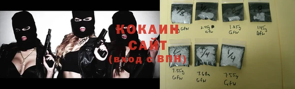 шишки Баксан