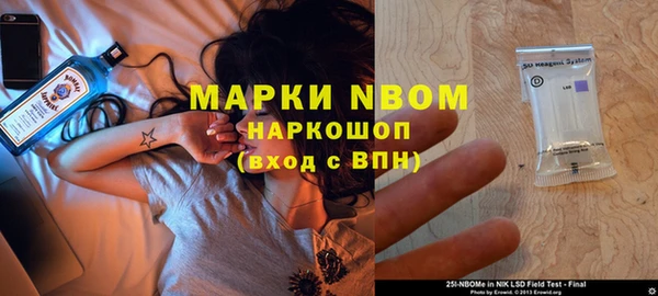 шишки Баксан