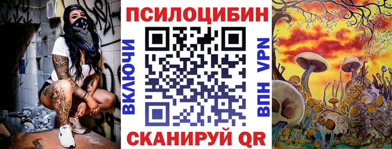 цена наркотик  Среднеколымск  Псилоцибиновые грибы GOLDEN TEACHER 